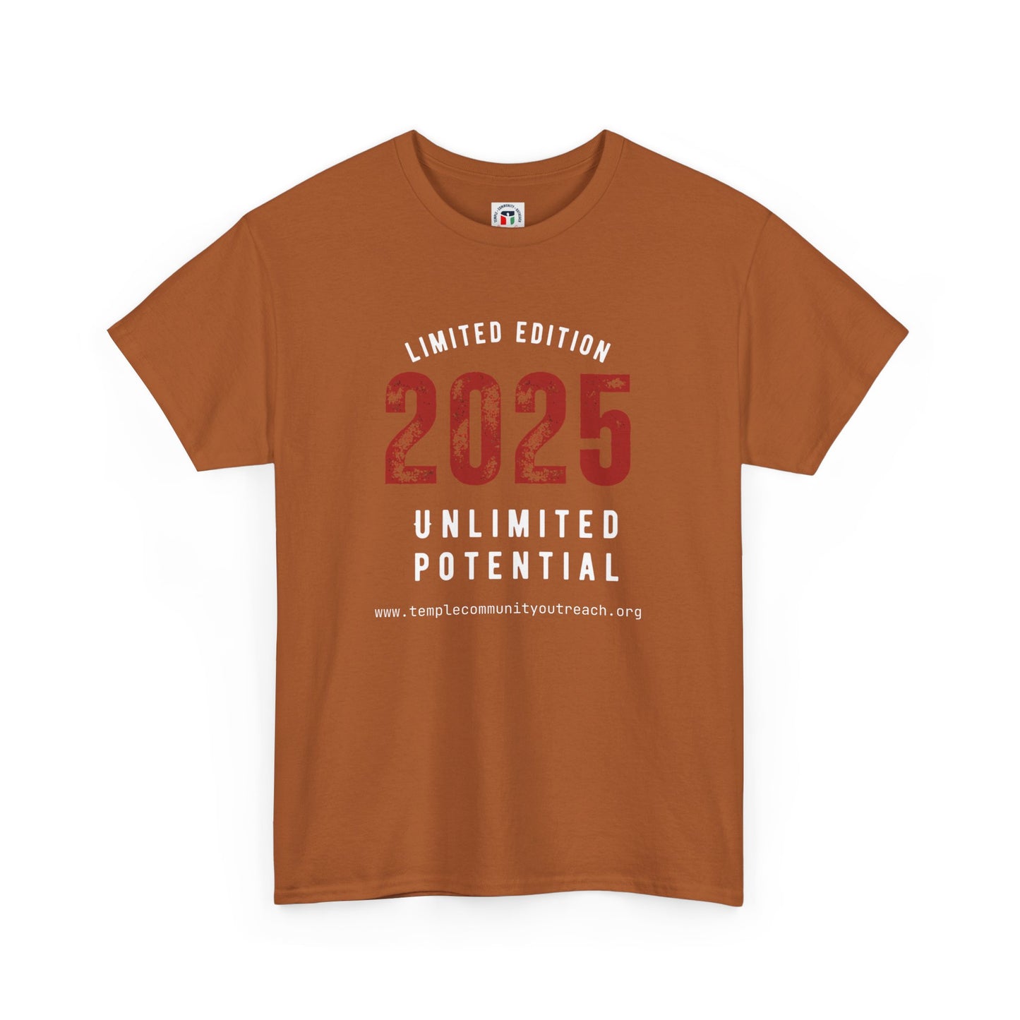 2025 Limited Edition Unisex Heavy Cotton Tee - Unlimited Potential