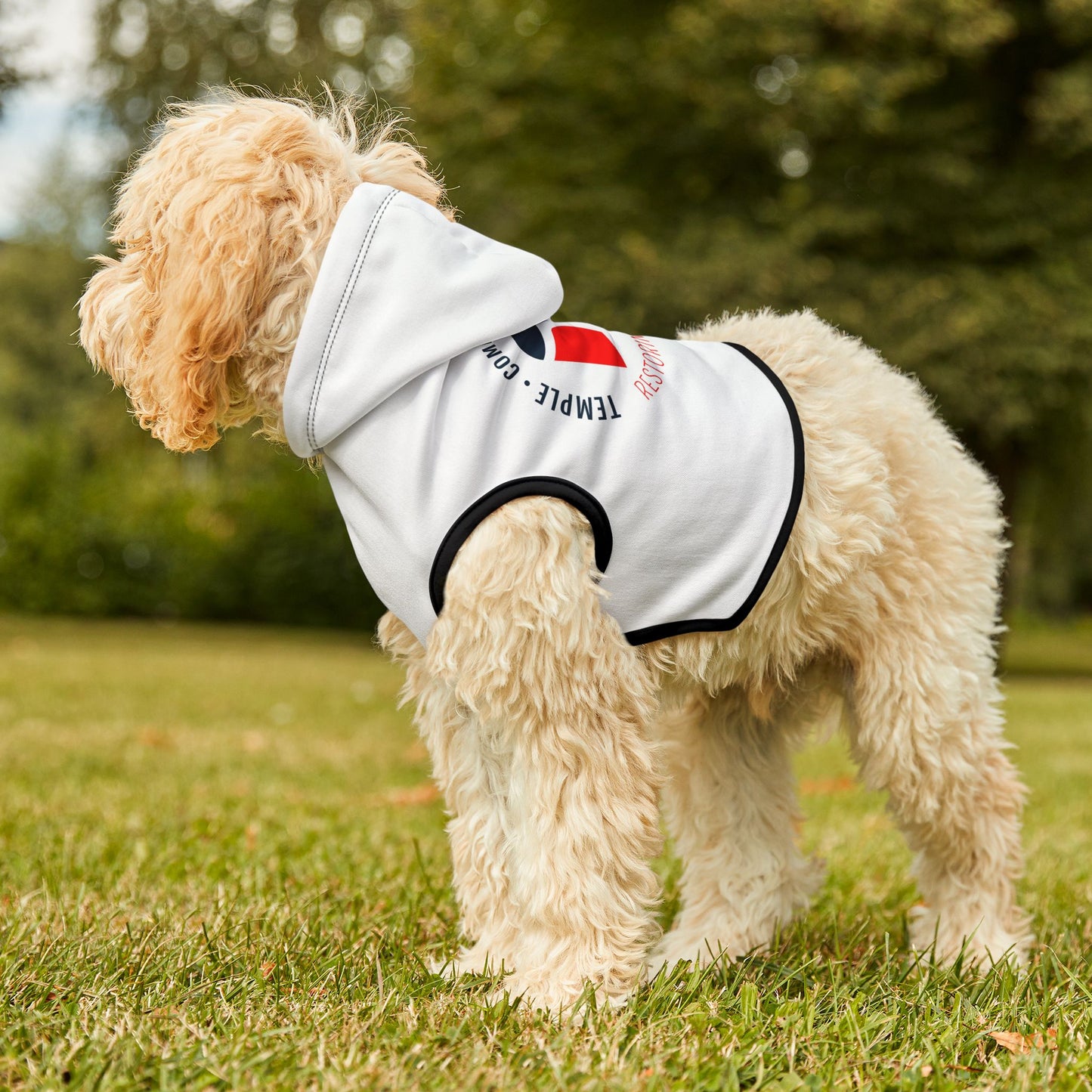 Pet Hoodie